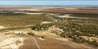Near Brannigan Creek - Cape York - QLD (PBH4 00 14522)